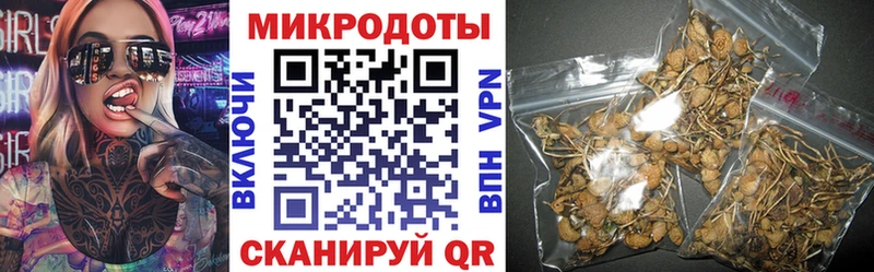 Псилоцибиновые грибы GOLDEN TEACHER  купить   Кудымкар 