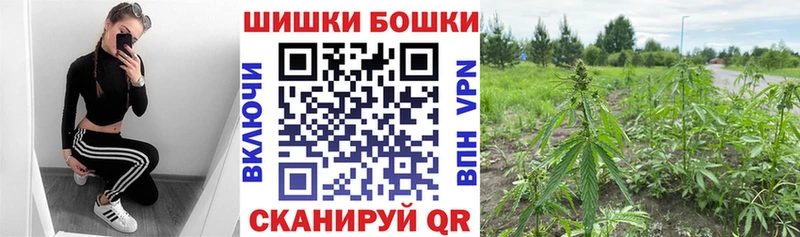 купить наркотик  Кудымкар  Каннабис индика 